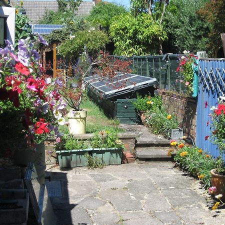 Perfect For Petersfield B&B Εξωτερικό φωτογραφία